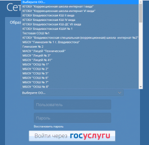 Сетевой город образование Находка: вход на портал, войти в электронный ...